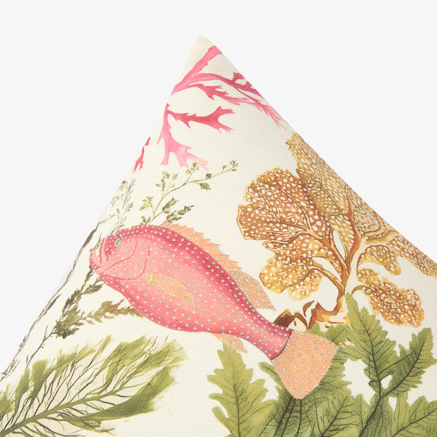 Funda de cojín de algodón cuadrada Coralia 45x45cm