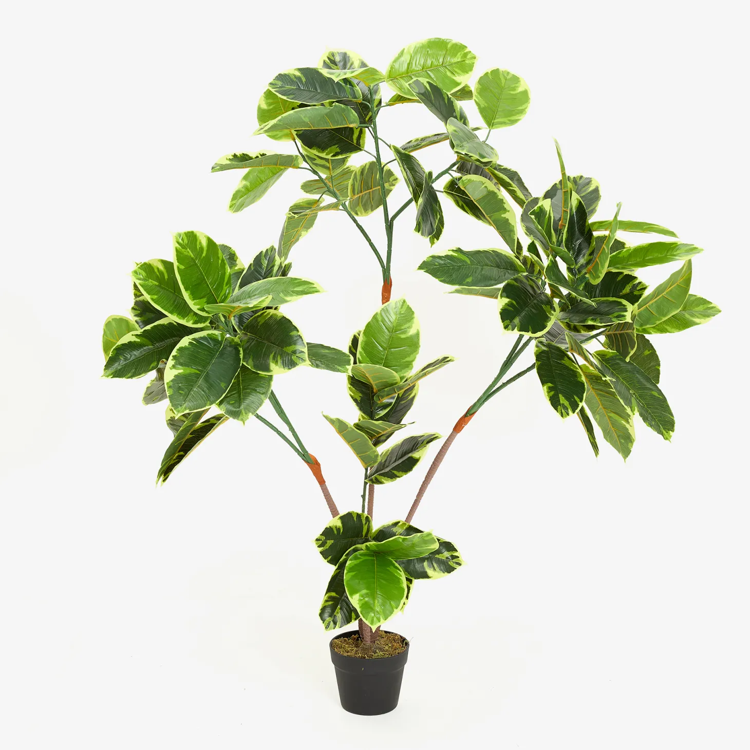 Planta artificial en maceta Ficus 145cm